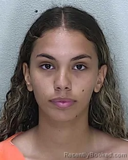 Mugshot of Nadia Elise Al-Awady booked in Marion County, Florida on August 12, 2026