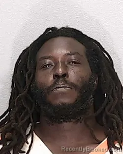 Mugshot of Tyrell Devon Tyson booked in Marion County, Florida on August 13, 2026