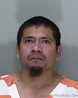 Mugshot of Feliciano Ramos Bautista booked in Marion County, Florida on August 13, 2026