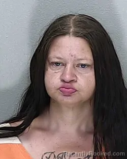 Mugshot of Terry Lynne Tillman booked in Marion County, Florida on August 13, 2026