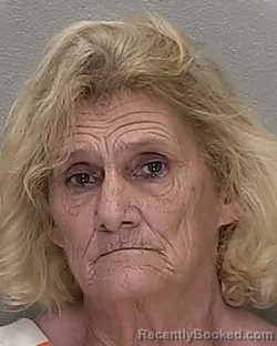 Mugshot of Sonya Lynn Mattingly booked in Marion County, Florida on August 14, 2026