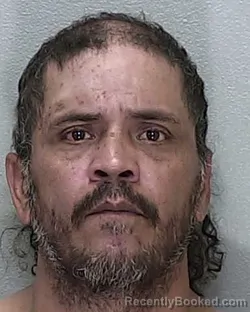 Mugshot of Salvador Jose Calvillo booked in Marion County, Florida on August 14, 2026