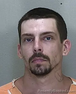 Mugshot of Barry Lewis Novak booked in Marion County, Florida on August 14, 2026