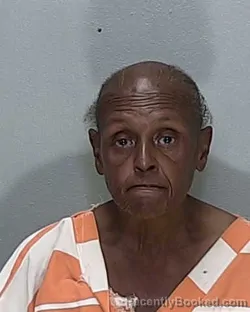 Mugshot of Gwendolyn Alice Hampton booked in Marion County, Florida on August 18, 2026