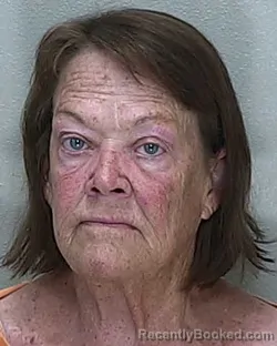 Mugshot of Maureen Mccarthy Ford booked in Marion County, Florida on August 19, 2026