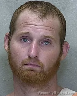 Mugshot of Stephen Lawrence Hance booked in Marion County, Florida on August 19, 2026