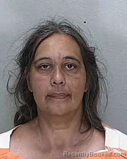 Mugshot of Ana Maria Gonzalez Hernandez booked in Marion County, Florida on August 19, 2026