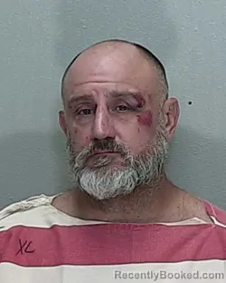Mugshot of Thomas Ray Padgett Jr booked in Marion County, Florida on August 19, 2026