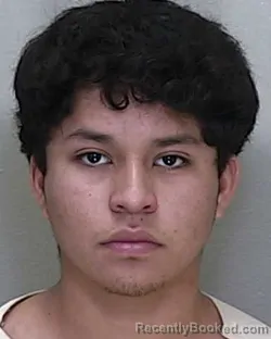 Mugshot of Carlos Gustavo Ramirez Delgado booked in Marion County, Florida on August 20, 2026