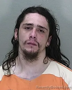 Mugshot of Casey William Hernandez booked in Marion County, Florida on August 23, 2026