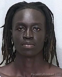 Mugshot of Wol Wol Akech Reng Yak booked in Marion County, Florida on August 23, 2026