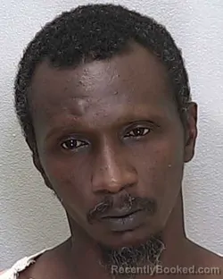Mugshot of Ronald Eugene Brown booked in Marion County, Florida on August 24, 2026