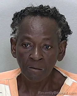 Mugshot of Melody Ann Tucker booked in Marion County, Florida on September 1, 2026