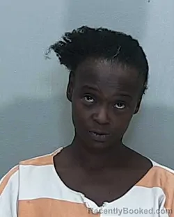 Mugshot of Brittany R Mathis booked in Marion County, Florida on September 9, 2026