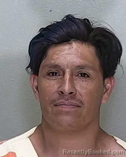Mugshot of Hipolito Hernandez Sanchez booked in Marion County, Florida on September 13, 2026