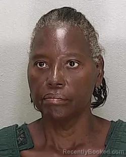 Mugshot of Nedra Lee Powe booked in Marion County, Florida on September 13, 2026