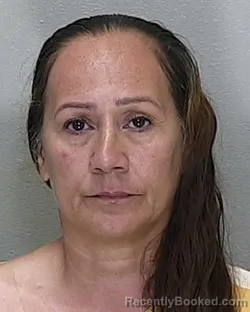 Mugshot of Ana Ely Rodriguez booked in Marion County, Florida on September 18, 2026