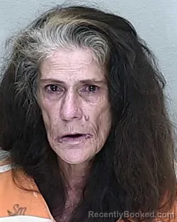 Mugshot of Mary Elizabeth Adcock booked in Marion County, Florida on September 18, 2026