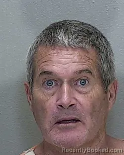 Mugshot of Michael Hainsworth booked in Marion County, Florida on September 20, 2026
