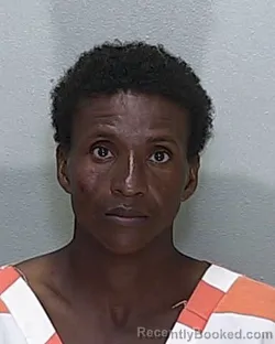 Mugshot of Rousso Brevil booked in Marion County, Florida on September 22, 2026