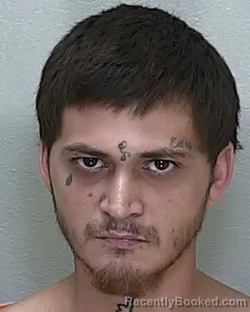 Mugshot of Abel Anthony Gomez booked in Marion County, Florida on September 24, 2026
