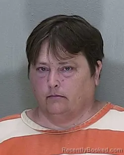 Mugshot of Kay Ann Herrin booked in Marion County, Florida on September 26, 2026