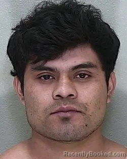 Mugshot of Miguel Velasco Velazquez booked in Marion County, Florida on October 2, 2026