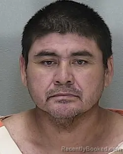 Mugshot of Fermin Hernandez booked in Marion County, Florida on October 2, 2026