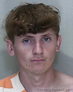 Mugshot of Caden Cline booked in Marion County, Florida on October 2, 2026