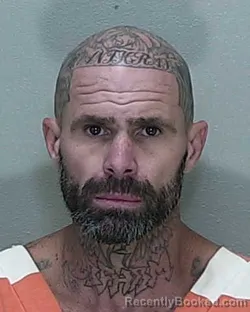 Mugshot of Thomas Leo Robison booked in Marion County, Florida on October 5, 2026