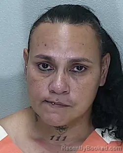 Mugshot of Monica Pichardo booked in Marion County, Florida on October 5, 2026