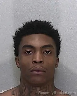 Mugshot of Kenavi Jaleel Carter booked in Marion County, Florida on October 6, 2026