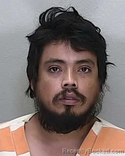 Mugshot of Alexis Ramirez Dominguez booked in Marion County, Florida on October 7, 2026