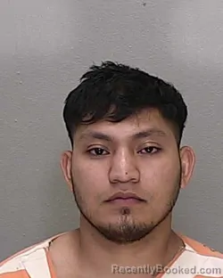 Mugshot of Breysi Benedicto Morales Martinez booked in Marion County, Florida on October 8, 2026