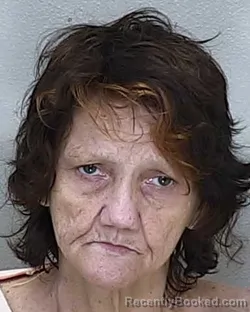 Mugshot of Joni Lynn Zamora booked in Marion County, Florida on October 8, 2026
