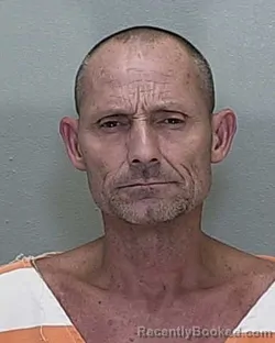 Mugshot of William Albert Davis Jr booked in Marion County, Florida on October 9, 2026