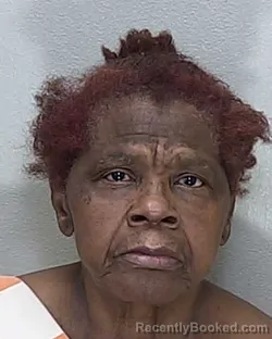 Mugshot of Carolyn Virginia Ellison booked in Marion County, Florida on October 9, 2026