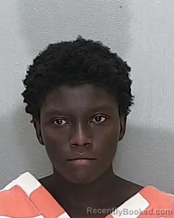 Mugshot of Diamond Nicole Lofton Salmon booked in Marion County, Florida on October 10, 2026