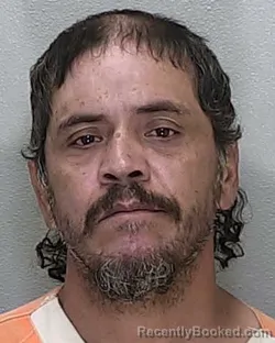 Mugshot of Salvador Jose Calvillo booked in Marion County, Florida on October 10, 2026