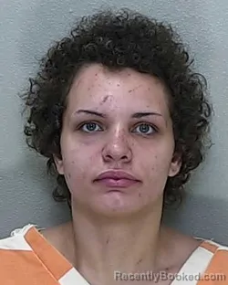Mugshot of Angelica Isabel Rosario Dominguez booked in Marion County, Florida on October 11, 2026