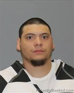 Mugshot of DOMINIC NORMAN