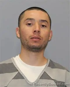 Mugshot of FELIPE VEGA