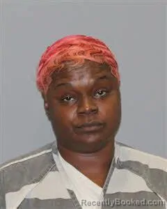 Mugshot of UNIQUE MCKINNEY booked in Robertson County, Texas on June 27, 2026