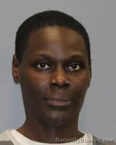 Mugshot of LAQUINTHIA NELSON booked in Robertson County, Texas on July 25, 2026