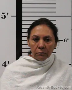 Mugshot of Maria Rosa Rivera booked in Rockwall County, Texas on June 12, 2026