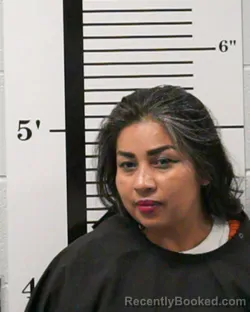 Mugshot of Ruth Ellena Reyes-Hernandez booked in Rockwall County, Texas on September 14, 2026