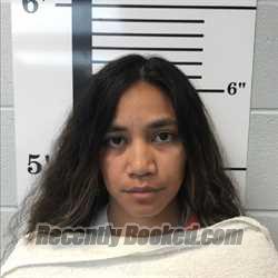 Booking photo from Rockwall County, Texas
