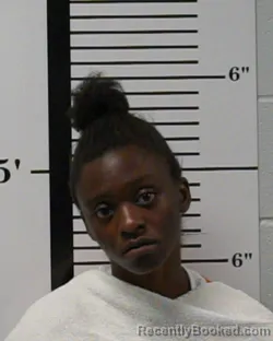 Mugshot of Shakayla Lashawn Brown booked in Rockwall County, Texas on August 21, 2026