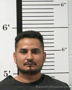 Mugshot of Adrian Tamayo-Perez booked in Rockwall County, Texas on September 12, 2026