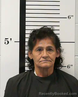 Mugshot of Elizabeth Ann Brito booked in Rockwall County, Texas on October 28, 2026